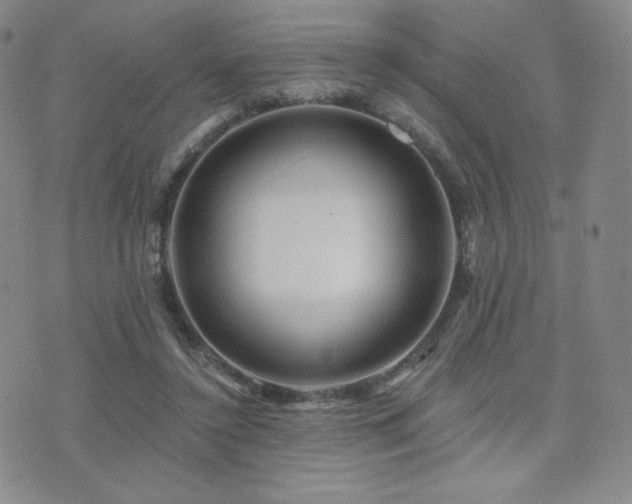 X0000073850356200608101231