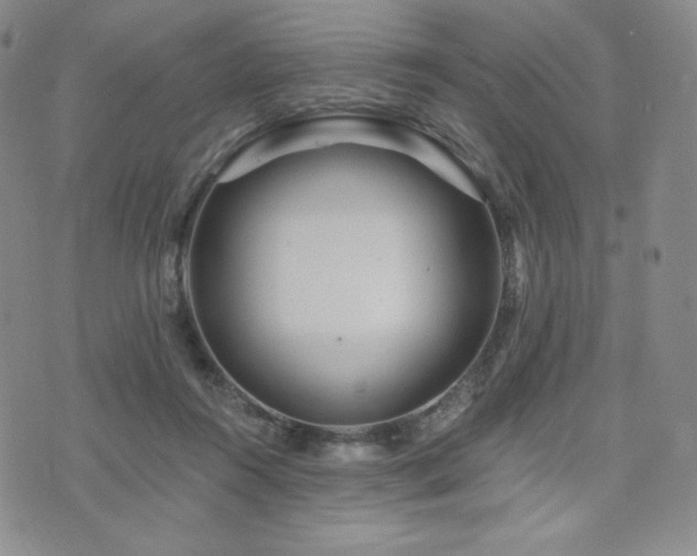 X0000073850360200608101231