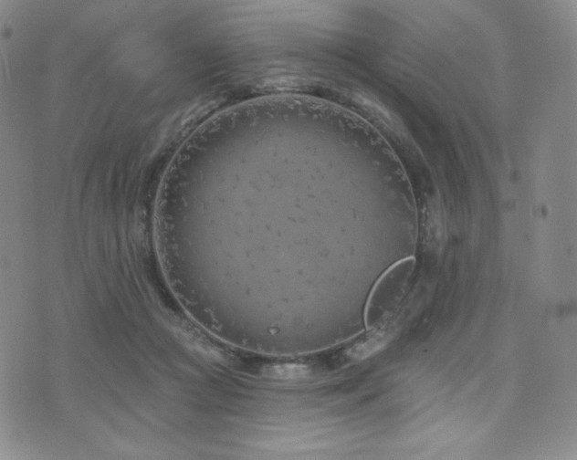 X0000073850361200608101231