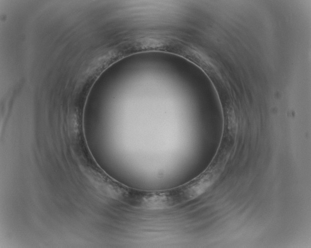 X0000073850362200608101231