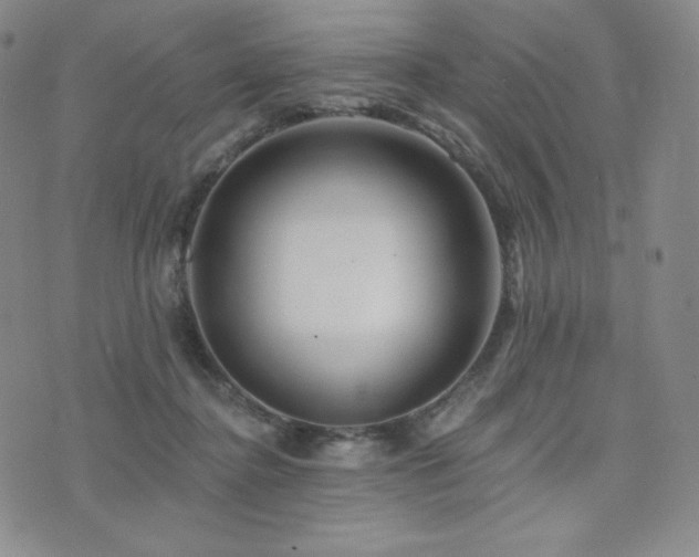 X0000073850364200608101231