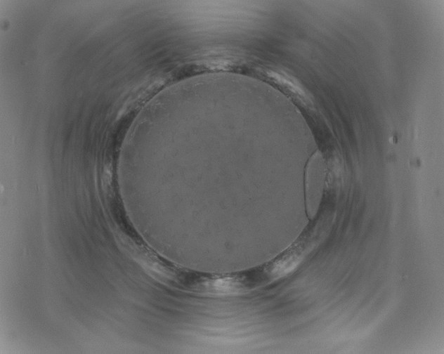 X0000073850365200608101231