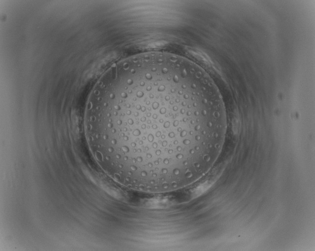 X0000073850366200608101231