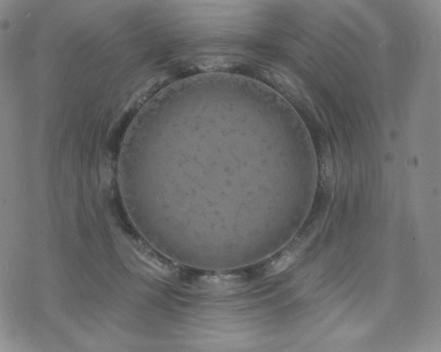 X0000073850367200608101231