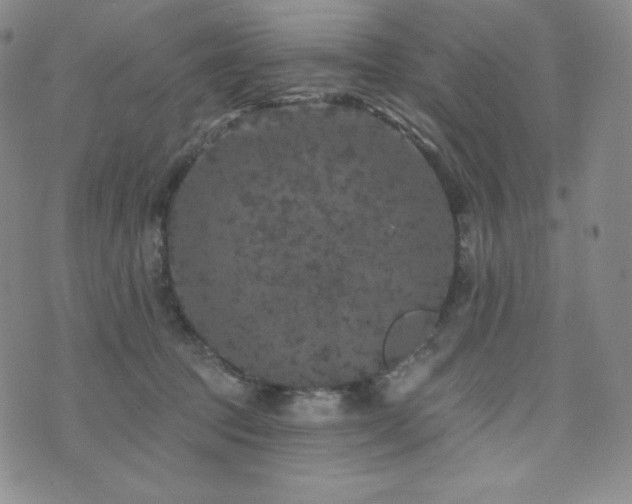 X0000073850369200608101231