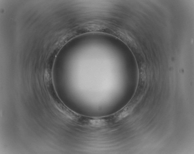 X0000073850371200608101231