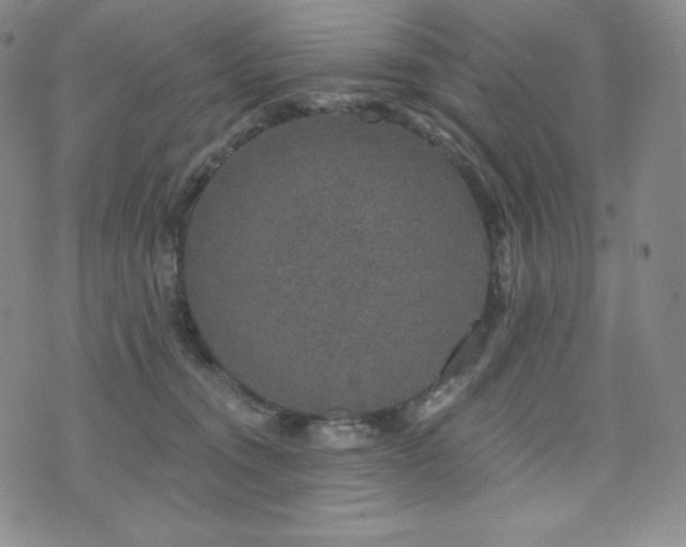 X0000073850372200608101231