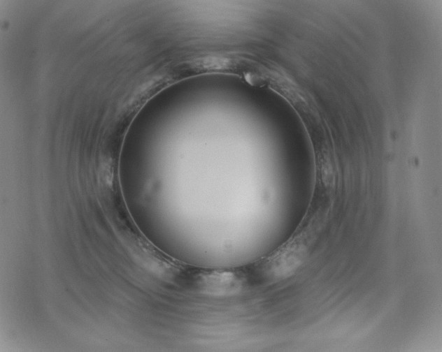 X0000073850374200608101231