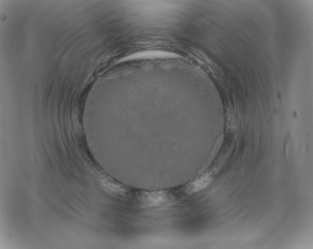 X0000073850377200608101231