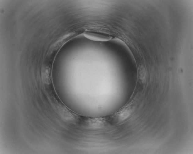 X0000073850378200608101231