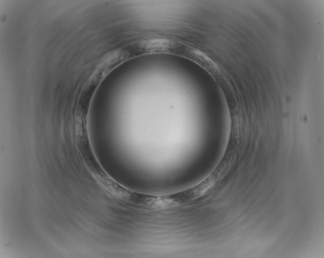 X0000073850379200608101231