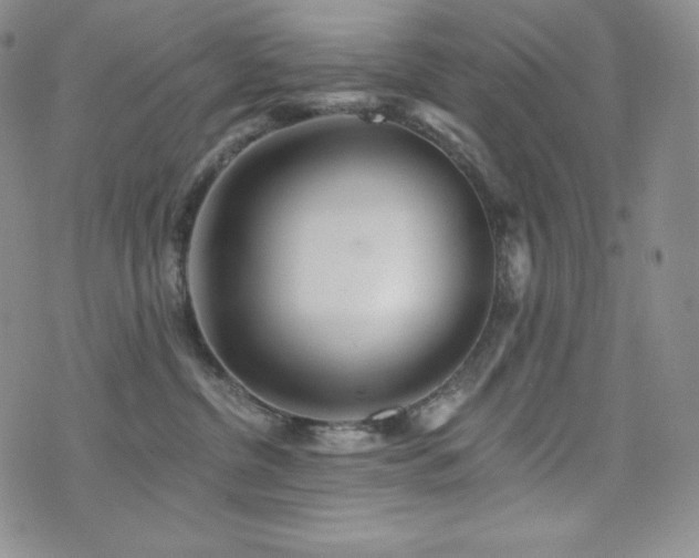 X0000073850380200608101231