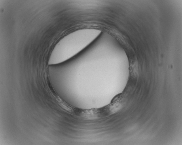 X0000073850381200608101231