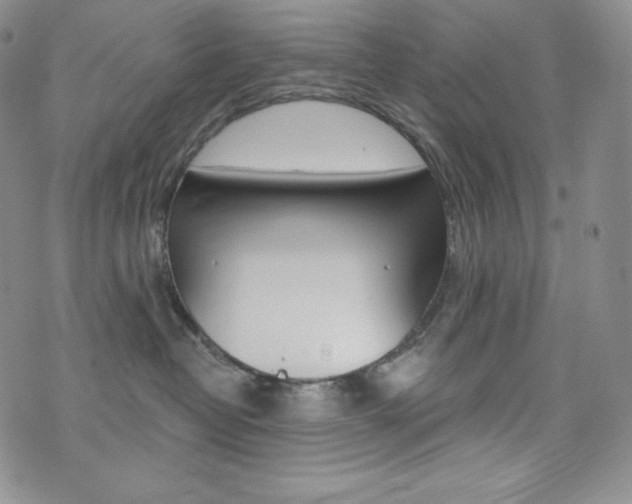 X0000073850382200608101231