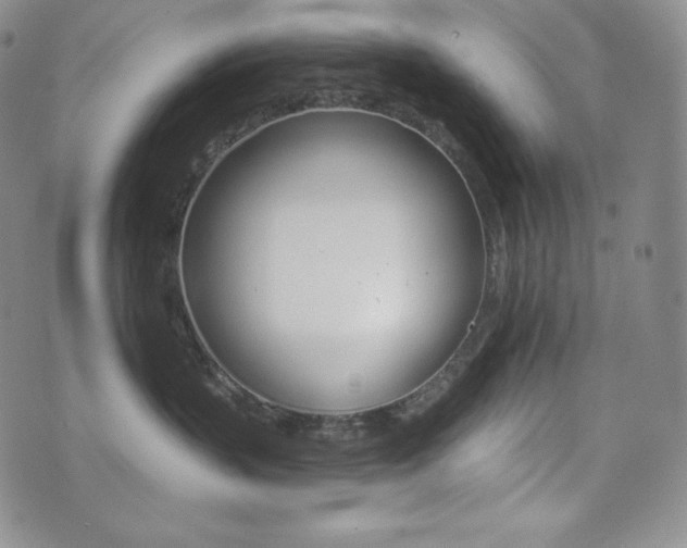 X0000073850383200608101231