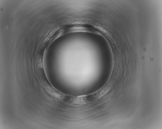 X0000073850384200608101231