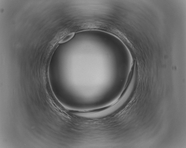 X0000073850386200608101231