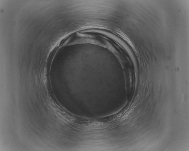 X0000073850387200608101231