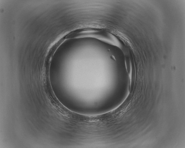 X0000073850388200608101231