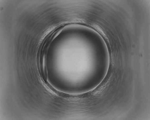 X0000073850389200608101231