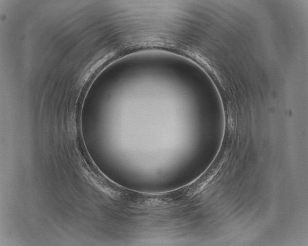 X0000073850390200608101230