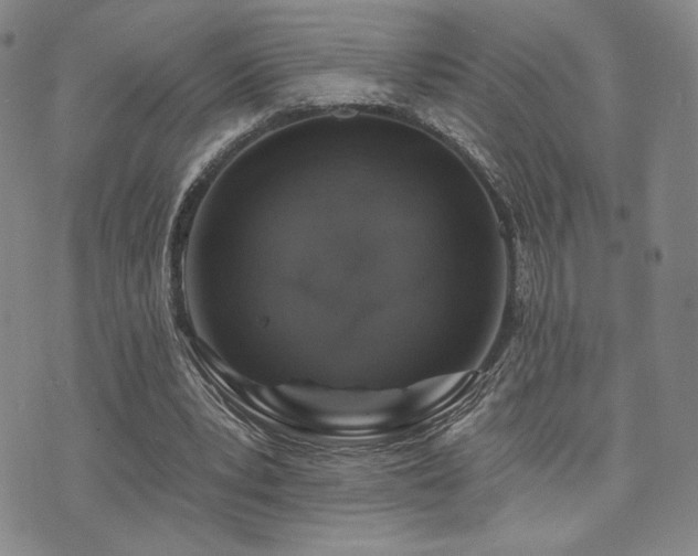 X0000073850391200608101230