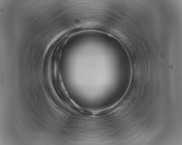 X0000073850392200608101230