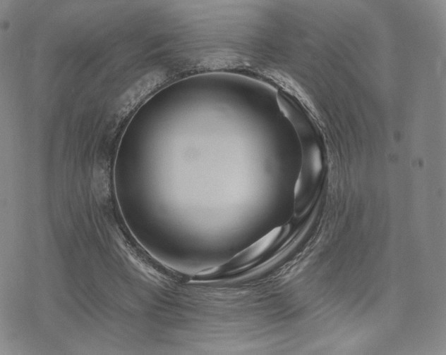 X0000073850393200608101230