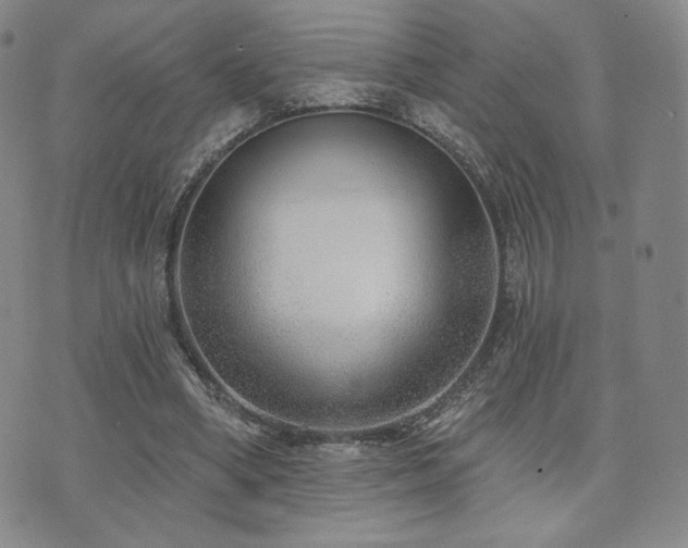 X0000073850394200608101230