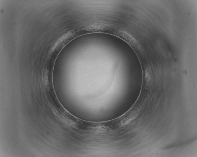 X0000073850396200608101230