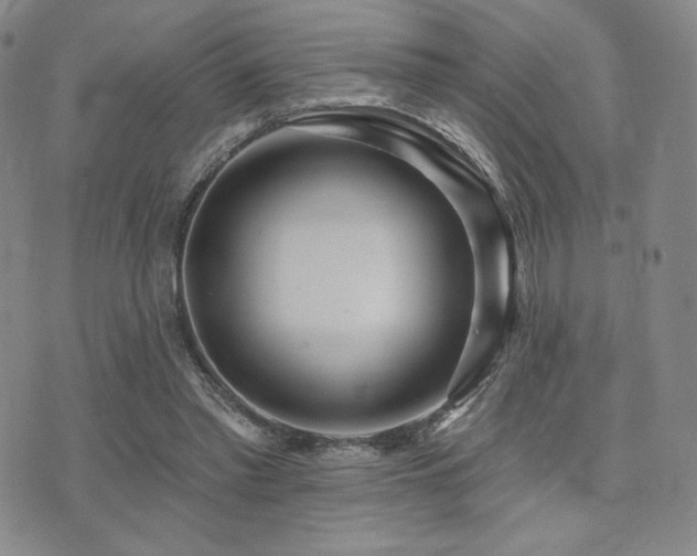 X0000073850397200608101230