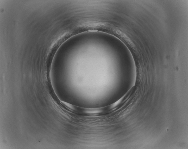 X0000073850399200608101230