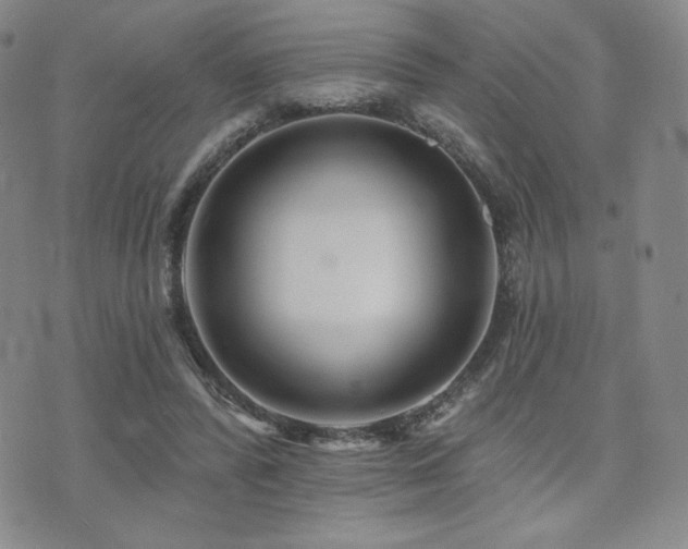 X0000073850400200608101230