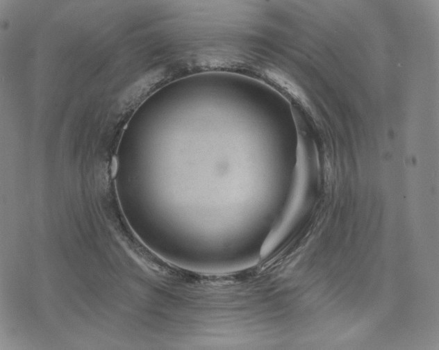 X0000073850401200608101230