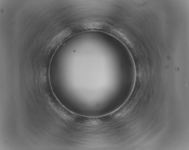 X0000073850402200608101230