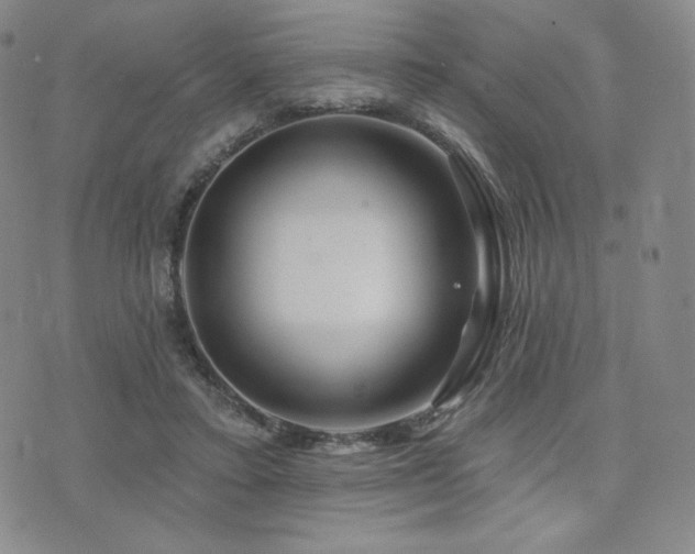 X0000073850403200608101230