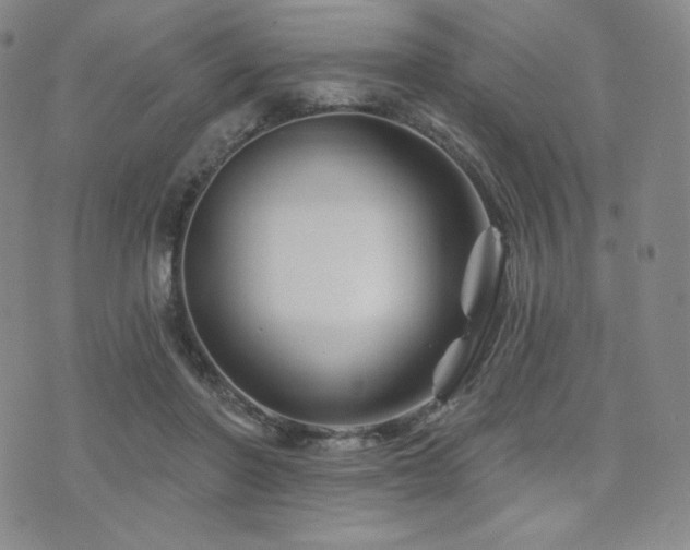 X0000073850406200608101230