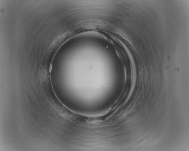 X0000073850407200608101230