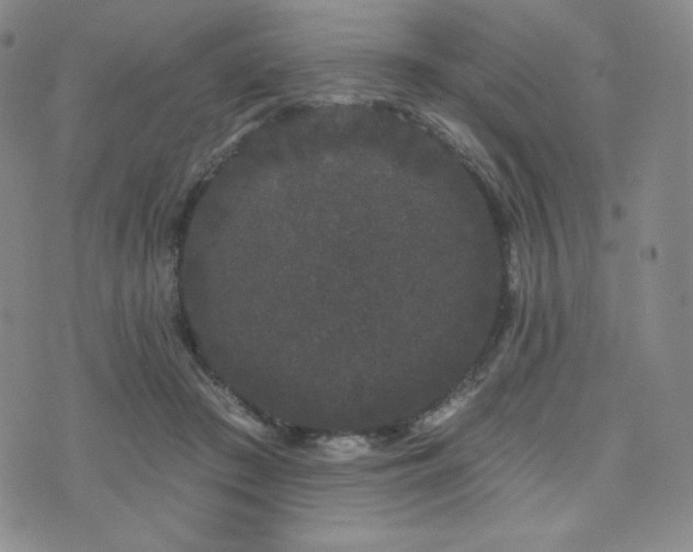 X0000073850409200608101230