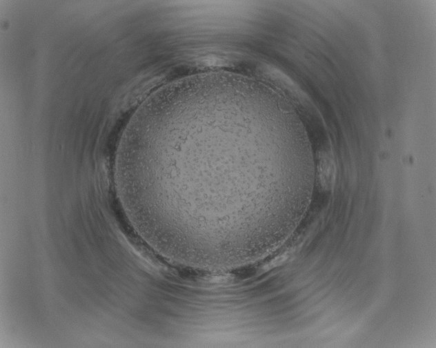 X0000073850410200608101230