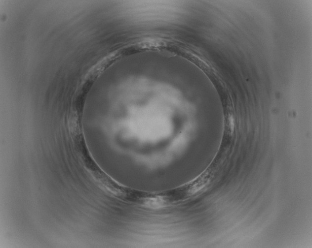 X0000073850411200608101230