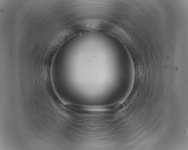 X0000073850412200608101230