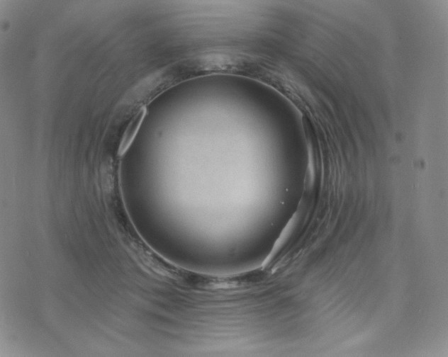 X0000073850413200608101230