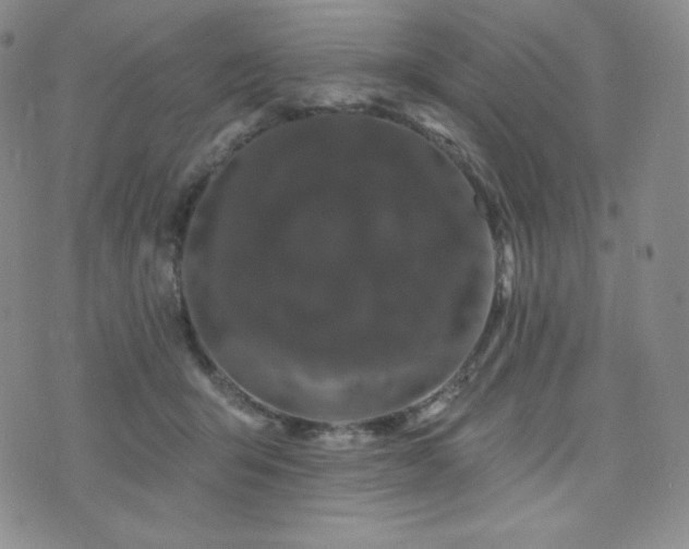 X0000073850415200608101230