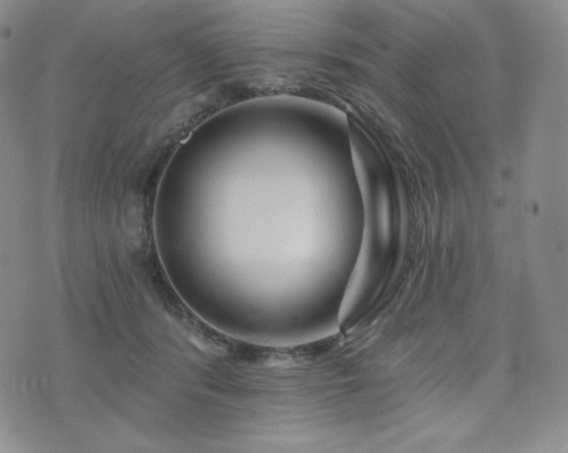 X0000073850416200608101230