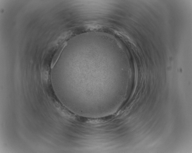 X0000073850417200608101230