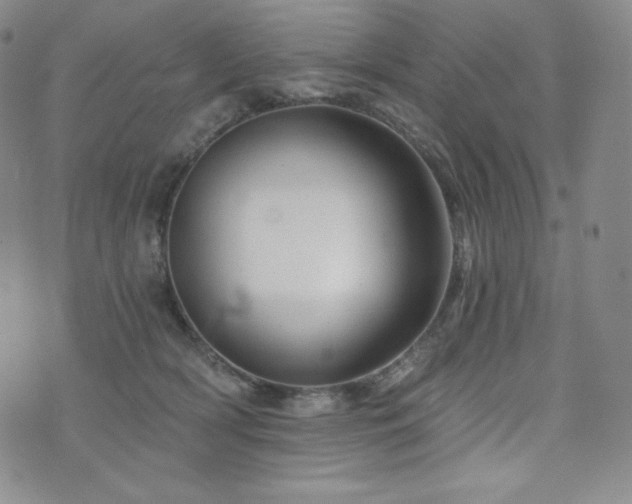 X0000073850418200608101230