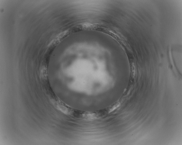 X0000073850419200608101230