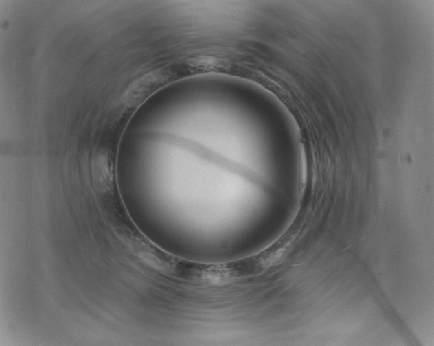 X0000073850420200608101230