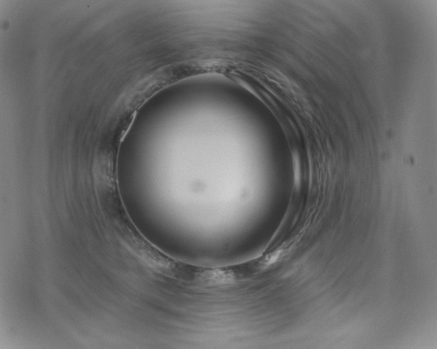 X0000073850421200608101230